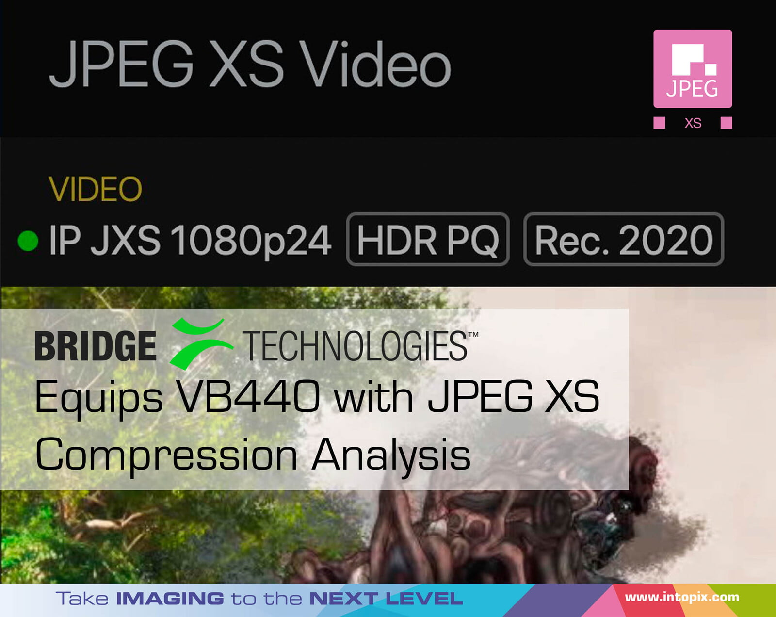 ブリッジテクノロジーズ、VB440にJPEG XS圧縮解析機能を搭載 